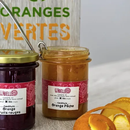 Hotel Ibis Styles Toulouse Aeroport